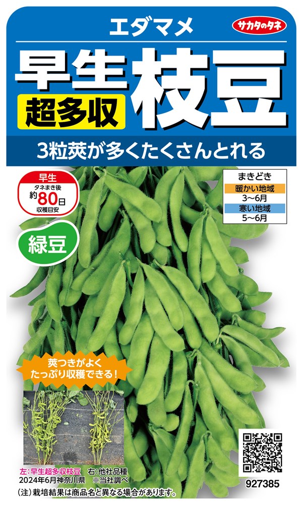 サカタのタネ エダマメ 早生超多収のタネ[内容量：30ml] | 【メーカー