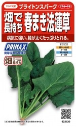 Υ ۥ󥽥 ֥饤ȥ󥹥ѡΥ[̡30ml]