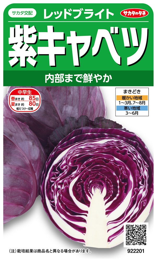 サカタのタネ 紫キャベツ レッドブライトのタネ[内容量：0.8ml