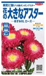 �������Υ��� �������� �����ߣأ̥������Υ���[�����̡���100γ]