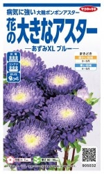 �������Υ��� �������� �����ߣأ̥֥롼�Υ���[�����̡���100γ]