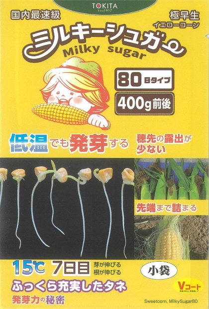 とうもころし トキタ種苗 トウモロコシ ミルキーシュガー80のタネ[内容量
