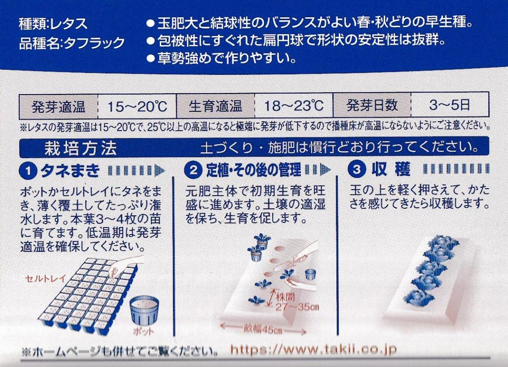 タキイ種苗 レタス スターレイ（タフラック）のタネ