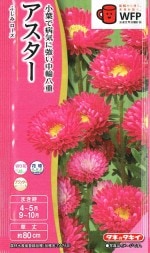 ���������� �������� �դ��ߥ������Υ���[�����̡�0.3ml]