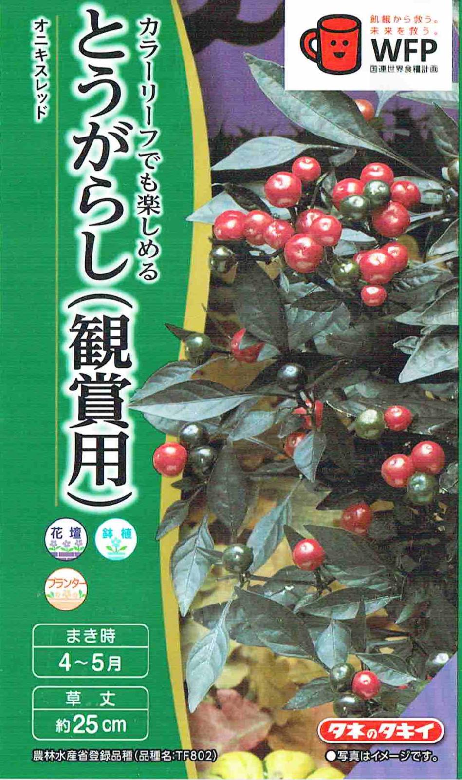 タキイ種苗 とうがらし（観賞用） オニキスレッドのタネ[内容量：約10