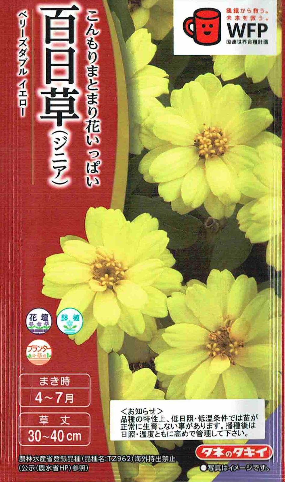 タキイ種苗 百日草 ベリーズダブル イエローのタネ[内容量：約30粒