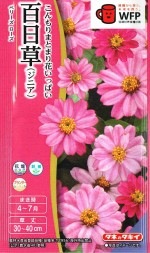 ���������� ɴ���� �٥꡼�����������Υ���[�����̡���40γ]