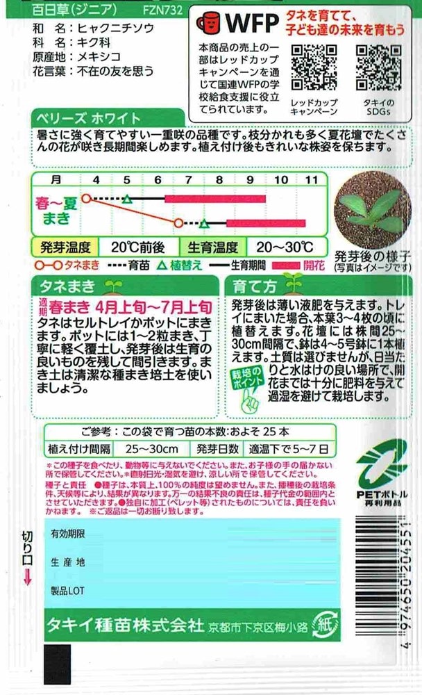タキイ種苗 百日草 ベリーズ ホワイトのタネ[内容量：約40粒