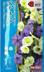  ڥ˥ ƣ֥롼ࡼƣƥ꡼ Υ[̡30γ]