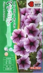  ڥ˥ ƣƥ꡼ ѡץ륢Υ[̡30γ]