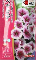  ڥ˥ ƣƥ꡼ 饺٥꡼Υ[̡30γ]