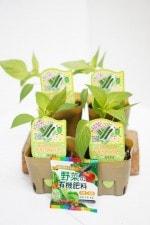 ���ͤʤ��ԡ��ޥ���� �֥��ͤʤäԡ� 4�ܥ��å�(������)��10.5cm�ݥåȡڣ�����ܡ�5����ȯ��ʬͽ��ۡ��ʼ�̾�����͡���_��Ͽ�ֹ桧��28906��_�������жػߡ�