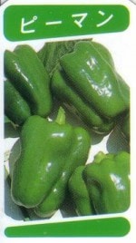 ���̤Ρ֥ԡ��ޥ���� 4�ܥ��å�(������)��9cm�ݥåȡڣ�����ܡ�5����ȯ��ʬͽ���