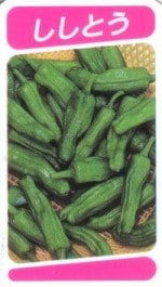 ���̤Ρ֤����Ȥ����� 4�ܥ��å�(������)��9cm�ݥåȡڣ�����ܡ�5����ȯ��ʬͽ���