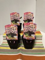 �쥿�����ġ��ץ�󥿡��ǤĤ����֥�åɥߥ˥쥿�� 4�ܥ��åȡ�9cm�ݥåȡ�������֡��մ�3����ܡ�4����ܡ�����8��ܡ�9����ܡ�