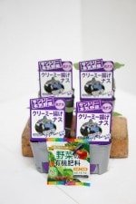 ����ȥ꡼�ܵ���ڡ��ʥ����� �֥��꡼�ߡ��Ȥ��ʥ� 4�ܥ��å�(������)��9cm�ݥåȡڣ�����ܡ�5����ȯ��ʬͽ���