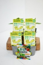 ����ȥ꡼�ܵ���ڡ������ԡ��ޥ���� �ּ�Ϥ�饤��ۥ�� 4�ܥ��å�(������)��9cm�ݥåȡ�4����ܡ�5����ȯ��ʬͽ���