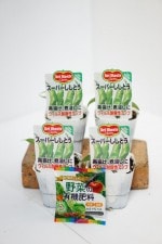 �ǥ���ơ֥����ѡ������Ȥ� 4�ܥ��å�(������)�פ���9cm�ݥåȡ�4����ܡ�5����ȯ��ʬͽ���