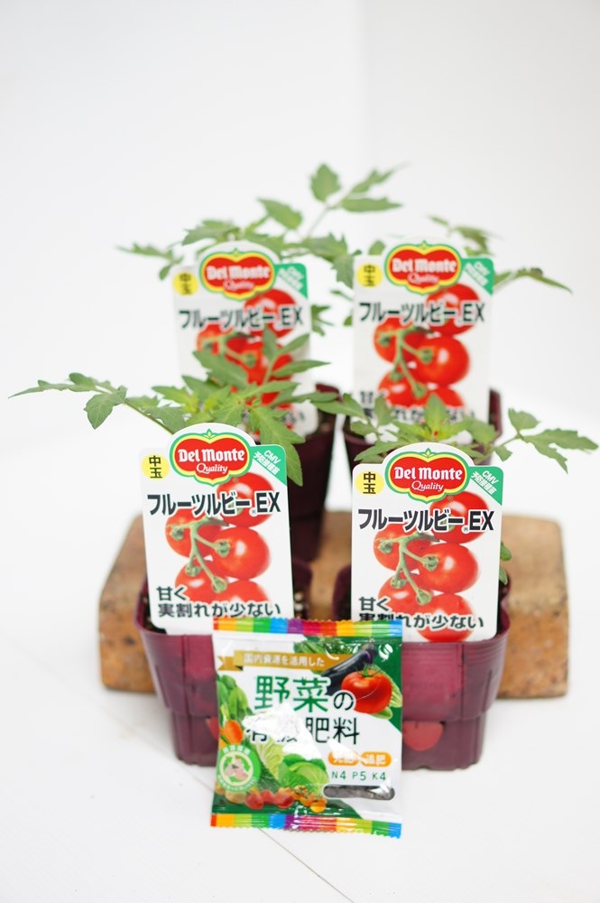 デルモンテ 中玉トマトの苗 「フルーツルビーEX 4本セット(肥料付