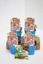 �ǥ���ơ��ߥ˥ȥޥȤ��� �֤����ʤꡪ�ȥ����󥯥� 4�ܥ��å�(������)��9cm�ݥåȡ�4����ܡ�5����ȯ��ʬͽ���