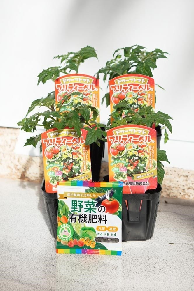 ドワーフトマト苗 「プリティーベル 4本セット(肥料付)」9cmポット