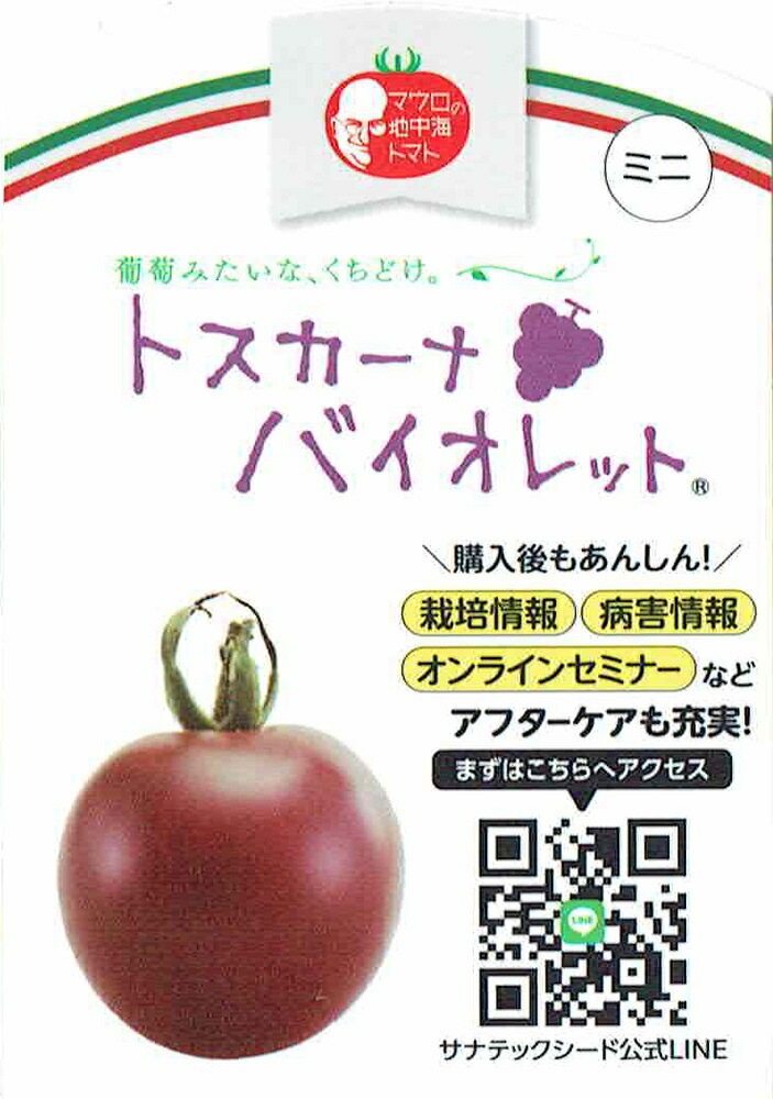 マウロの地中海トマト苗 「トスカーナバイオレット 4本セット(肥料付
