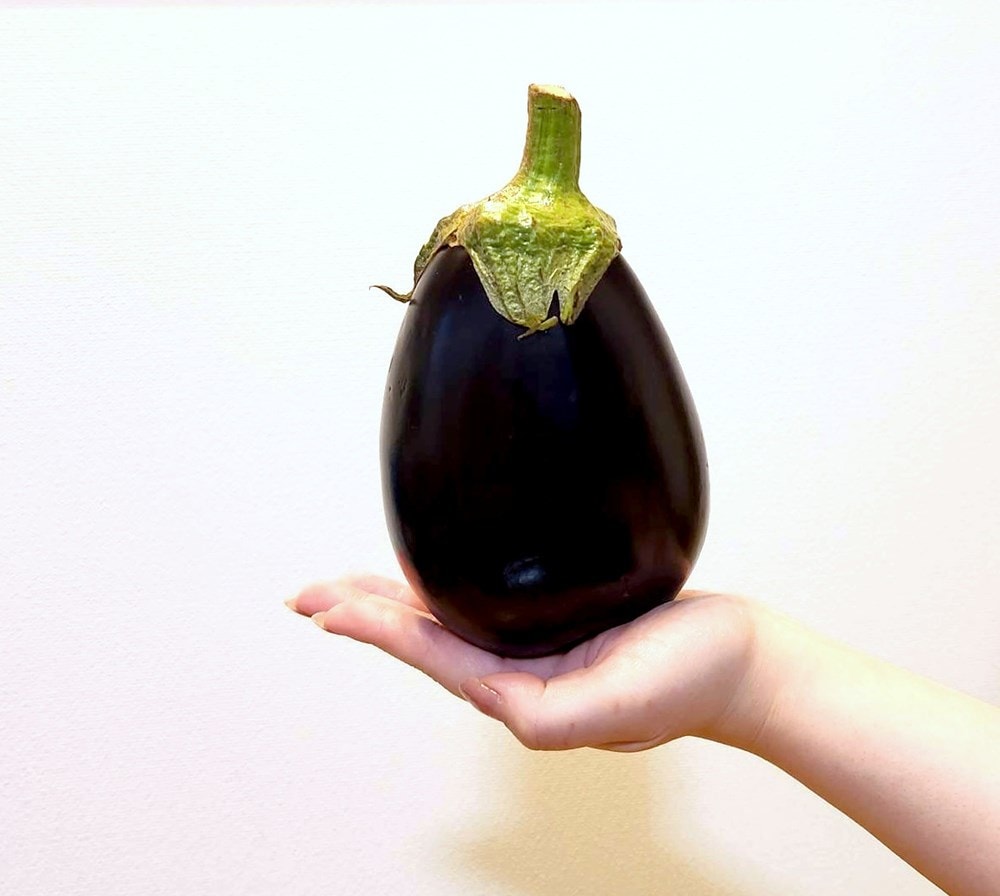 でかうま野菜「とろうまジャンボなす」9cmポット【5月上旬～6月上旬