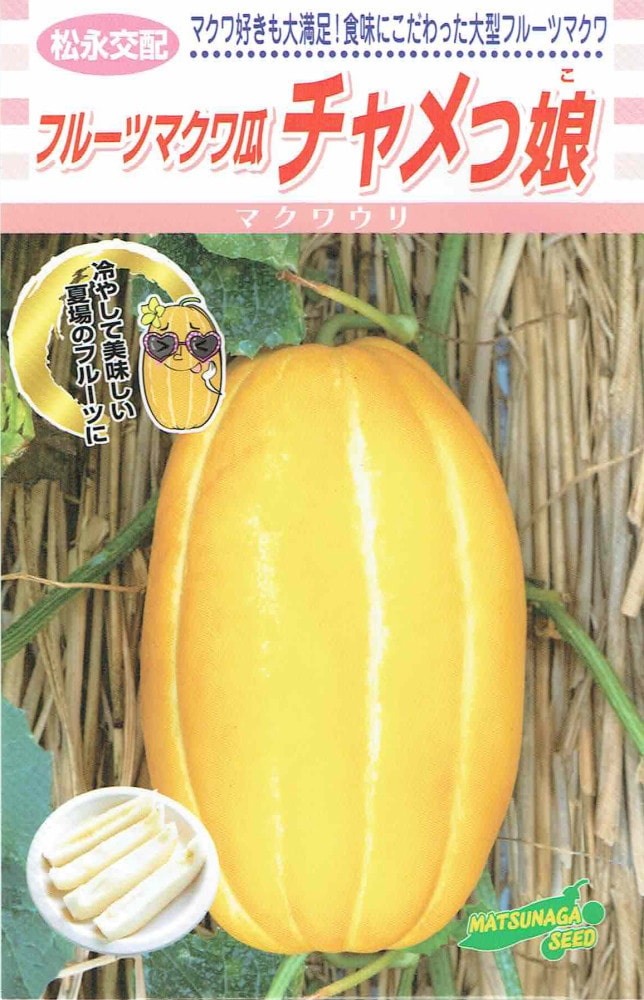 松永種苗 フルーツマクワウリ チャメっ娘のタネ[内容量：約10粒