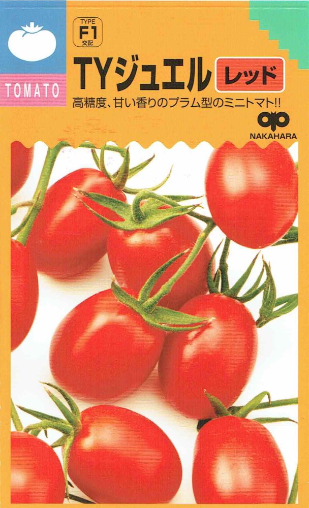 中原採種場 ミニトマト TYジュエル レッドのタネ[内容量：約12粒