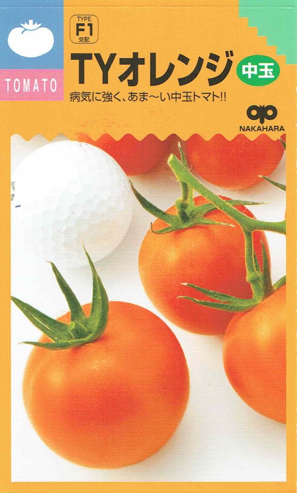 中原採種場 中玉トマト TYミディオレンジのタネ[内容量：約12粒