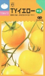 �渶�μ�� ��̥ȥޥ� �ԣ٥ߥǥ����������Υ���[�����̡���12γ]