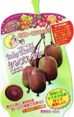 �٥ӡ��������֥��󥺥�åɡʥ᥹�� 4�ܥ��å�(������)�ף�����ݥå���