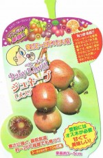 �٥ӡ��������֥���͡��֡ʥ᥹�� 4�ܥ��å�(������)�ף�����ݥå���