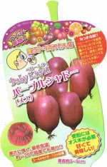 �٥ӡ��������֥ѡ��ץ륷��ɡ��ʥ᥹�� 4�ܥ��å�(������)�ף�����ݥå���