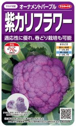 Υ 祫ե ʥȥѡץΥ[̡0.2ml]