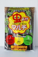 �ڤ����ܴ��ե�����ۥ˥��Ρ����֥ॷ���󡡥ߥˡ�95����ҡ�10����3����)��