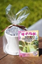 ���ݥ��åȡ֥ޥ��ϥ��ʤޤ��Ϥ�������ˡ�