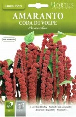 HORTUS�ʥ����ꥢ�� ���ޥ�󥵥� �ҥ⥲���ȥ��Υ���[�����̡�3g]