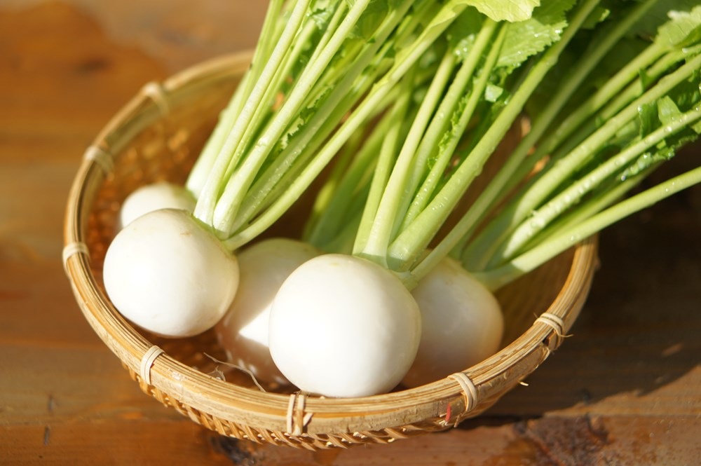 ���֤��ġ��֥ե롼�ĥ��֡��ž���ʤ��ޤ��椭�� 4�ܥ��å�(������)��9cm�ݥåȡ�������֡�����9��ܡ�10��ܡ�