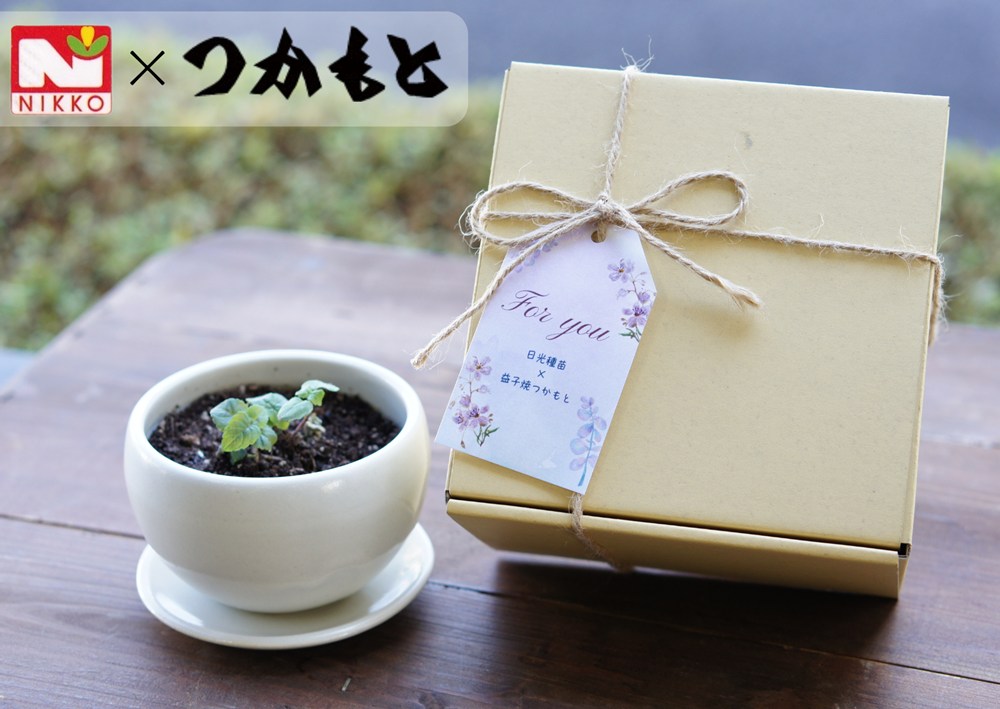 �ϡ��ּ�ȱ׻Ҿƺ��ݥ��åȡ֥ϡ��ּ�ȹ����ءʤ̤������椦�ˡ�