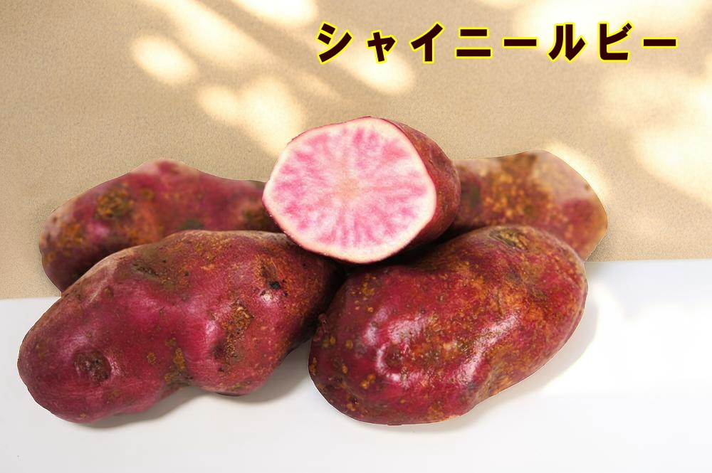 �ڼ兩�㥬���⡦�襤��֥ۡ��㥤�ˡ���ӡ��פμ露�㤬���⡡�󣵣��������ڽե��㥬�����ѡ��������ܡ������ȯ���ۡ��ʼ�̾�����㥤�ˡ���ӡ�_��Ͽ�ֹ桧��35303��_�������жػߡ�