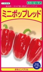 ��¢����� ���顼�ԡ��ޥ� �ߥ˥ݥåץ�åɤΥ���[�����̡���10γ]