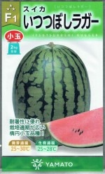 �������� ���̥����� ���ĤĤܤ��饬���Υ���[�����̡���7γ]