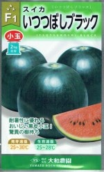 �������� ���̥����� ���ĤĤܤ��֥�å��Υ���[�����̡���7γ]