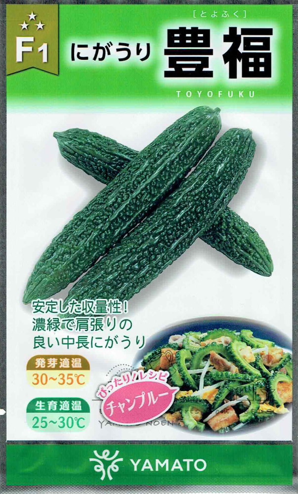 無農薬 種用にも！採れたて新鮮！大玉ツヤツヤ大玉ハヤトウリ（緑） 大和農園 にがうり・ゴーヤ 豊福のタネ(とよふく)[内容量：約6粒