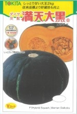 �ȥ������� ���ܥ��� ��ŷ����Υ���[�����̡���7γ]