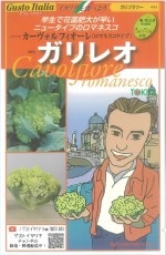 �ȥ������� ����ե����ޥͥ��� ����쥪�Υ���[�����̡���50γ]