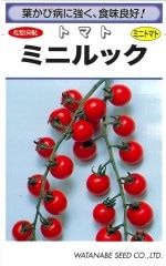 ���պμ�� �ߥ˥ȥޥ� �ߥ˥�å��Υ���[�����̡���15γ]