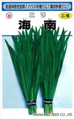 ���պμ�� �˥� ����Υ���(�����ʤ�)[�����̡�5ml]