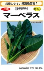 ���պμ�� �ۥ���󥽥� �ޡ��٥饹�Υ���[�����̡�25ml]